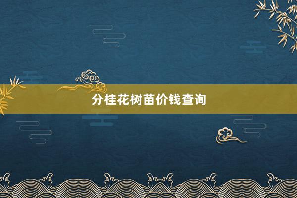 分桂花树苗价钱查询