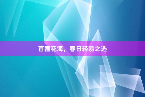 苜蓿花海，春日轻易之选