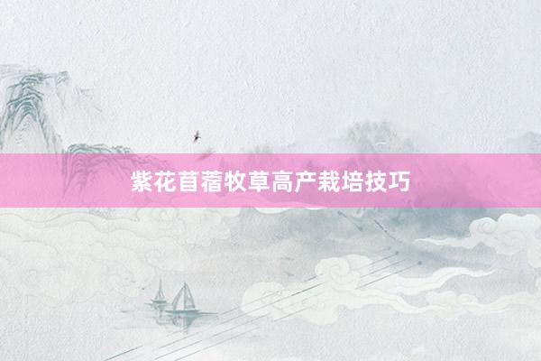紫花苜蓿牧草高产栽培技巧