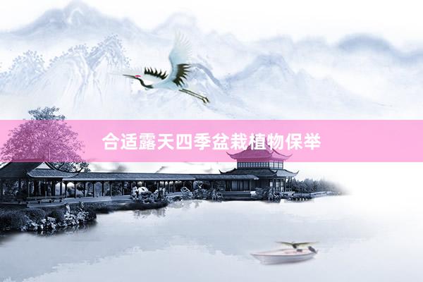 合适露天四季盆栽植物保举