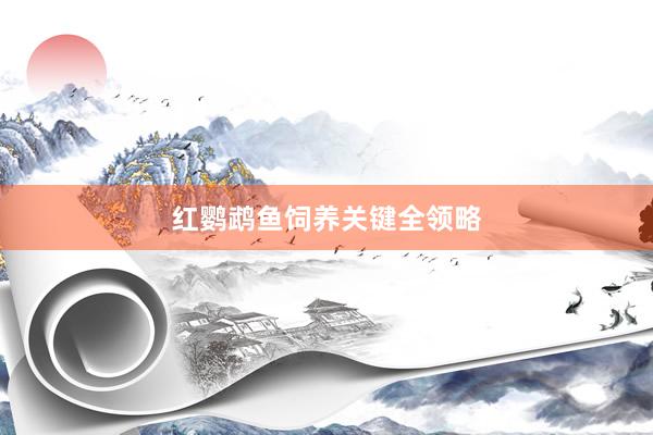 红鹦鹉鱼饲养关键全领略